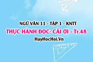 Soạn bài Thực hành đọc: Cải ơi trang 48 Ngữ văn lớp 11 Kết nối tri thức tập 1
